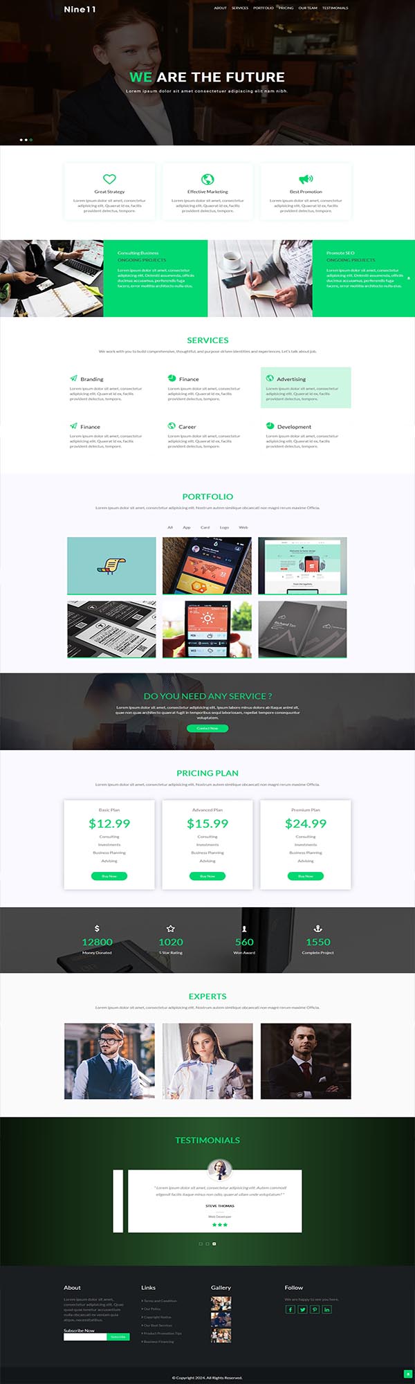Nine11-P Two-Page Website Template